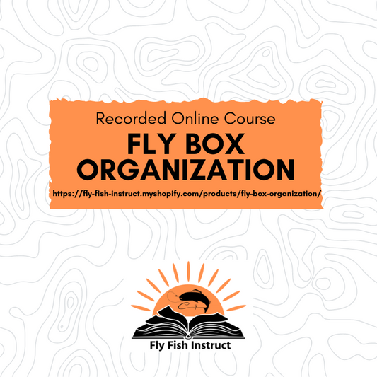 Fly Box Organization